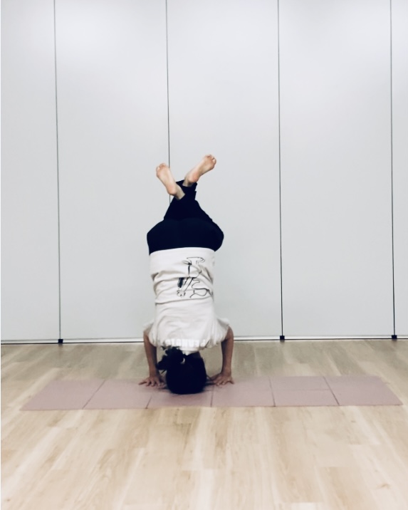 肩、首、腕、腹筋、背筋、バランス鍛えよう